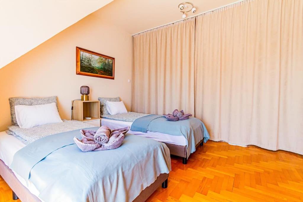 Roomy Apartment 80Sqm At City Center Free Parking Space, Ac & Balcony Budapest Exterior photo